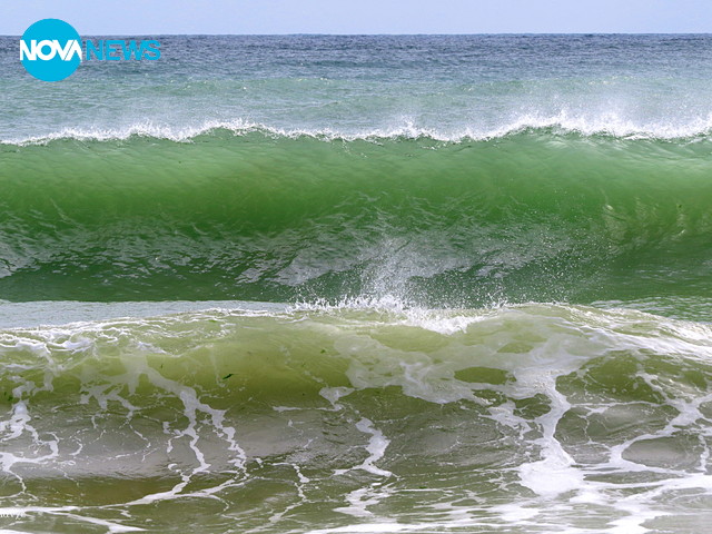 Красивите гребени на вълните