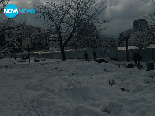 Красотата на зимата