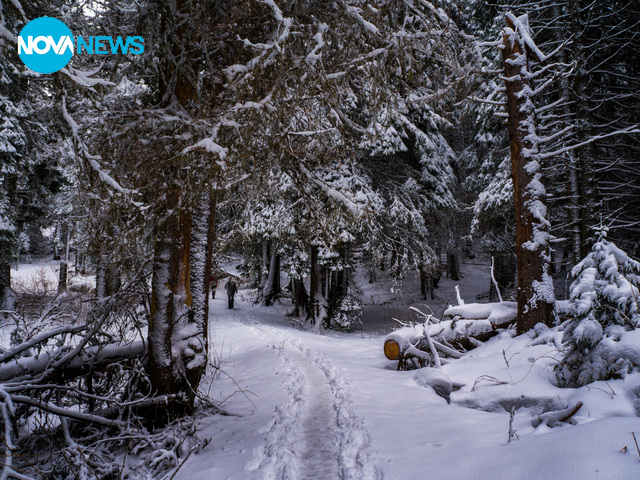 Витоша отново е бяла