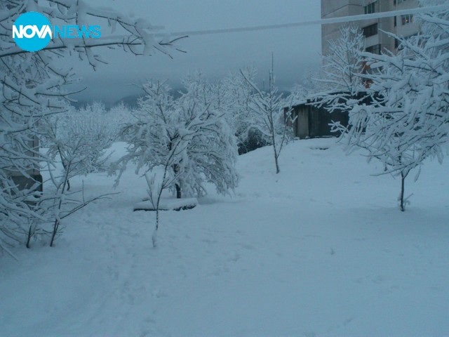 Зимна приказка