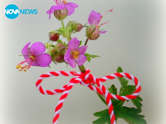 Здравец за здраве