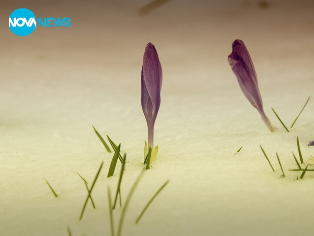 Пролетно пробуждане