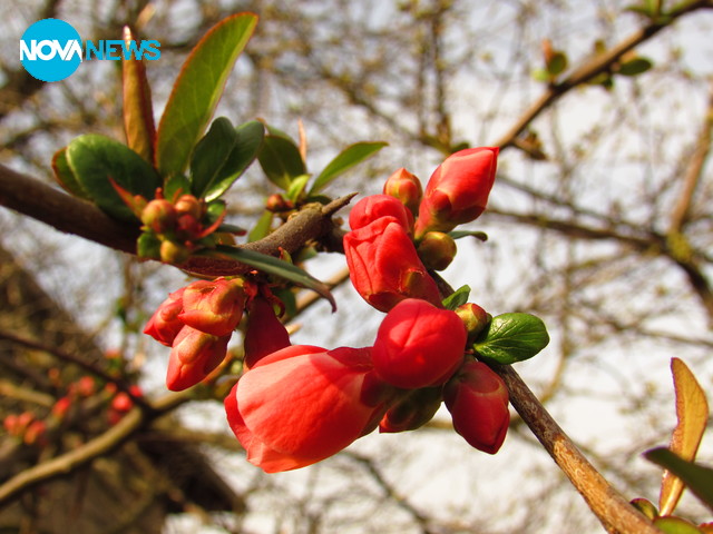 Пролетни усмивки