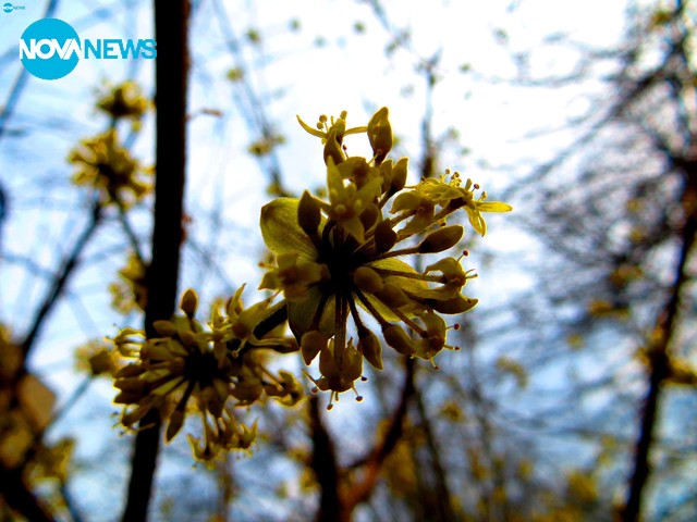 Честита пролет на екипа на Нова ТВ!