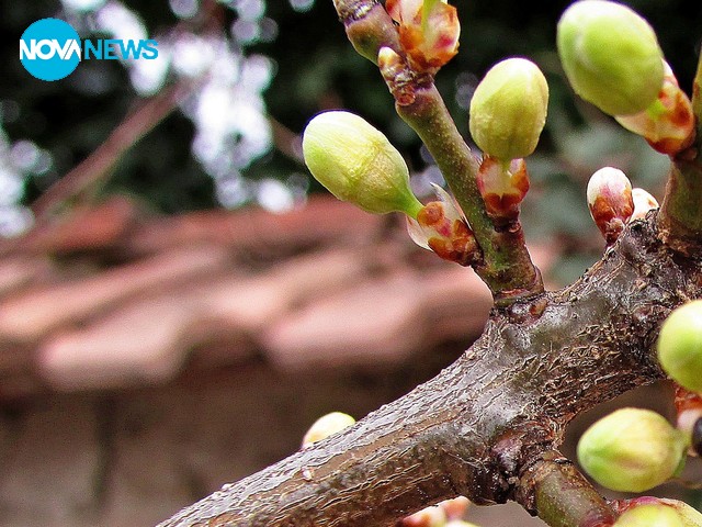 Напъпила пролет