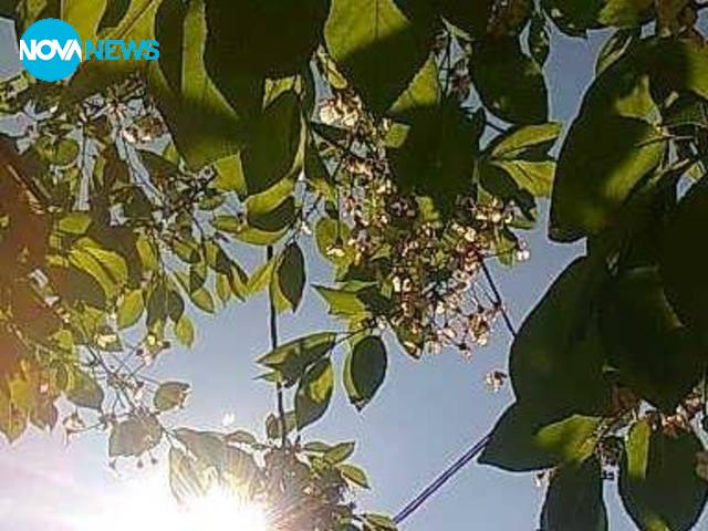 Слънце в Пазарджик