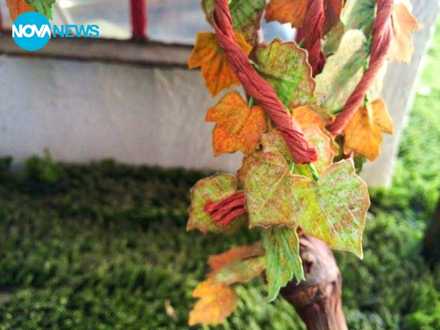 снимка за прогноза на времето -7