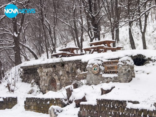 Зимна приказка