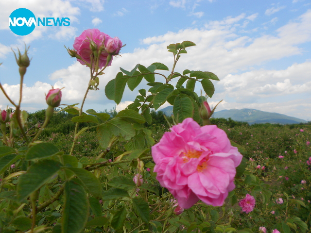 Честит празник на всички!
