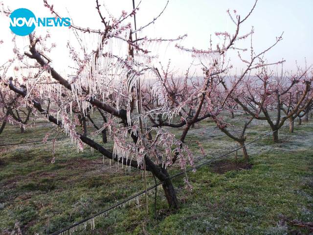 Ледена пролет