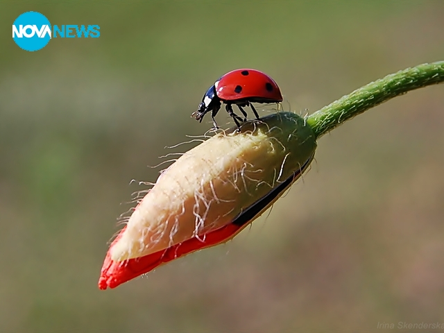 За прогнозата на времето - 2