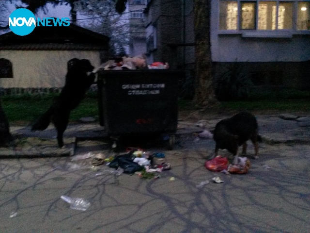 Животински свят