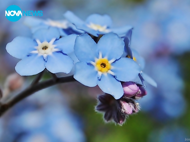 Честит празник на всички