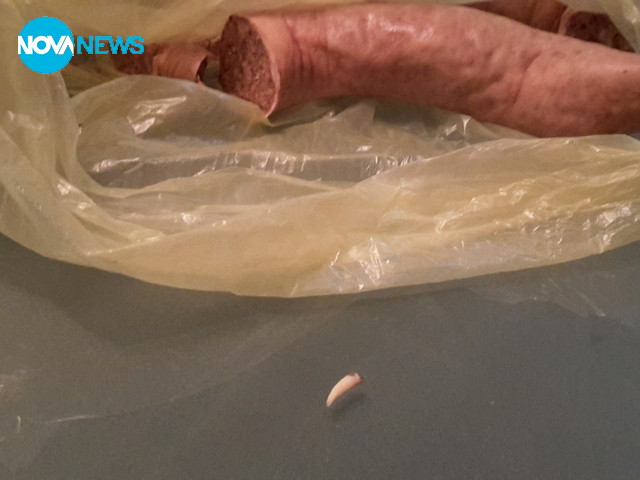 Храната, която консумираме всеки ден! Кучета, котки или зайци?