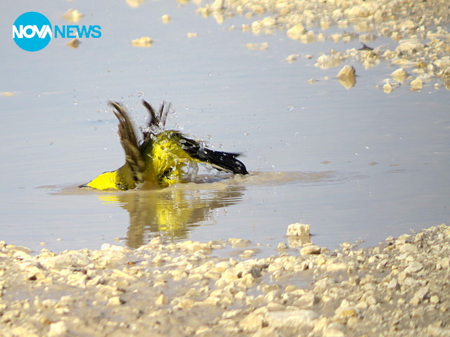Разхлада в горещия априлски ден!