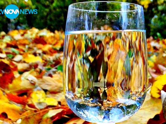 Световният ден на водата