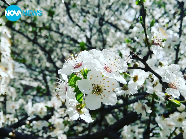 Красотата около нас