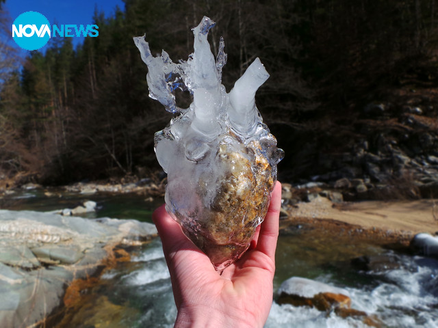 Ледено сърце