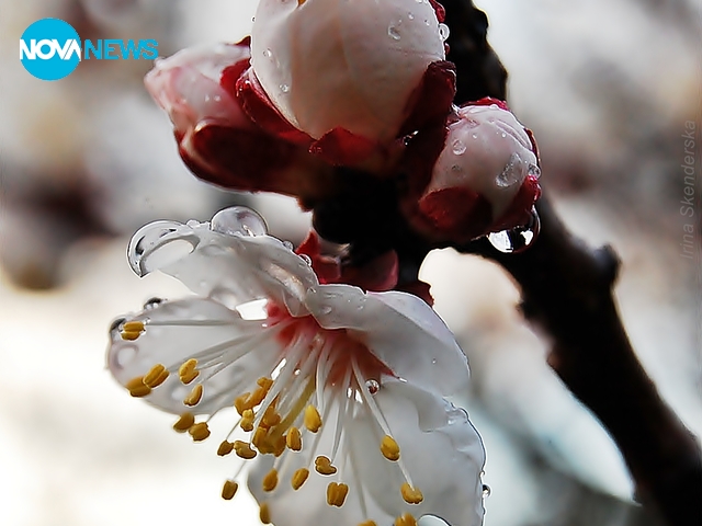 Пробуждане