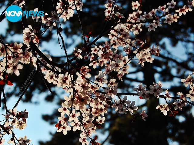 За прогнозата за времето