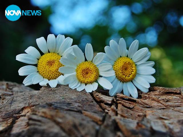 Настроение