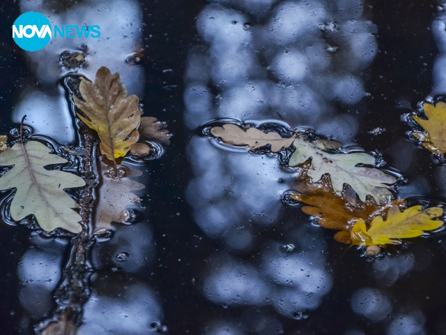 Дъждовни отражения