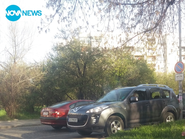 Нахалството няма граници