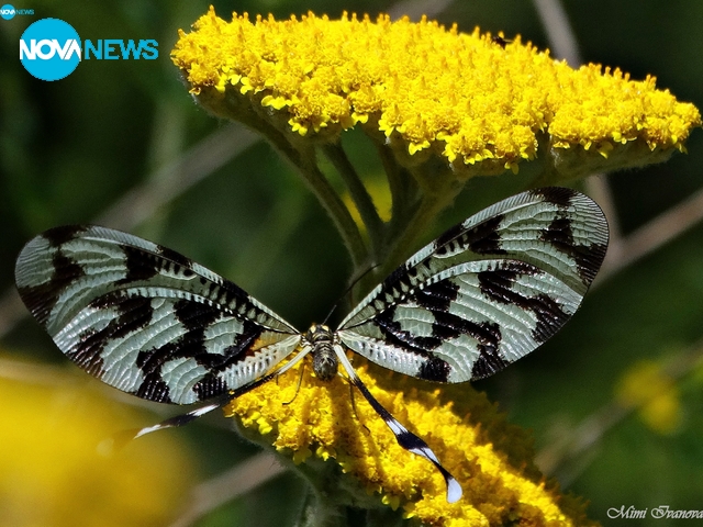 Прекрасни пролетни снимки