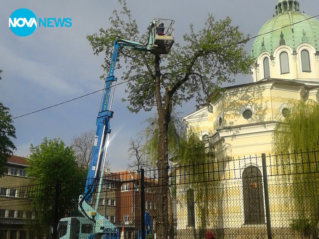 Унищожава се градина в центъра на София
