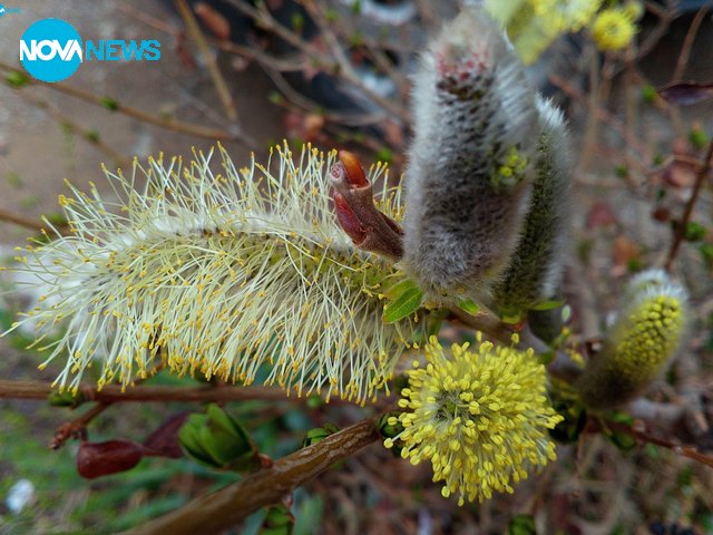 Пролет в Сливен