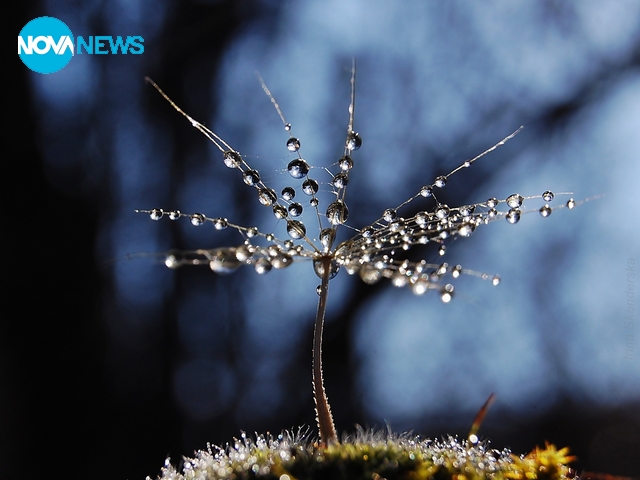 Усещане за нещо красиво