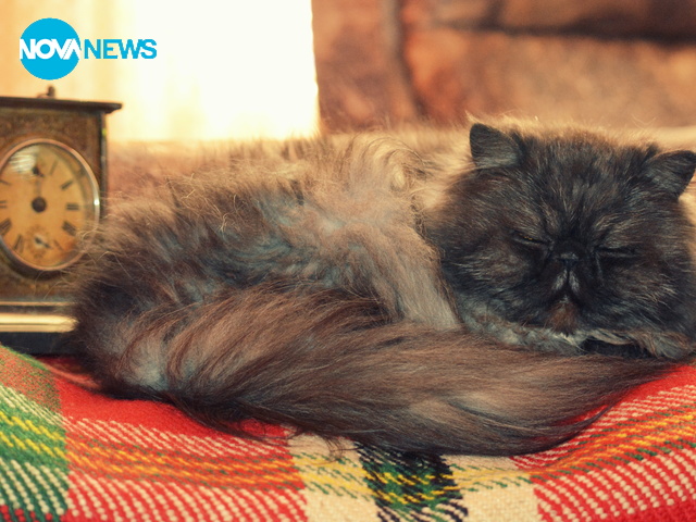 В неделя минаваме на лятно часово време