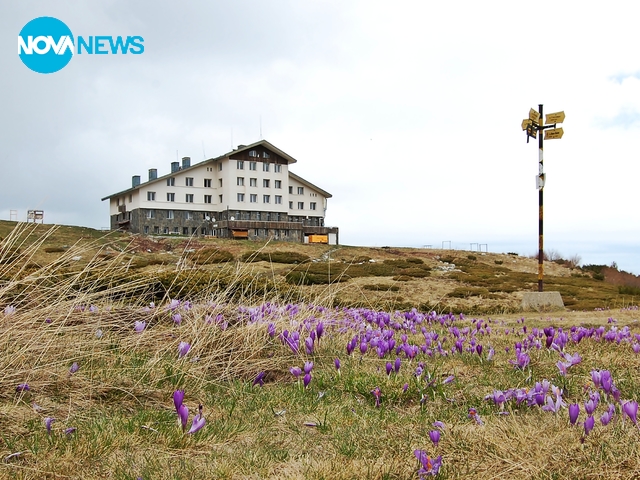 Хижа в Рила