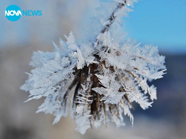 Вълшебството на Скрежко