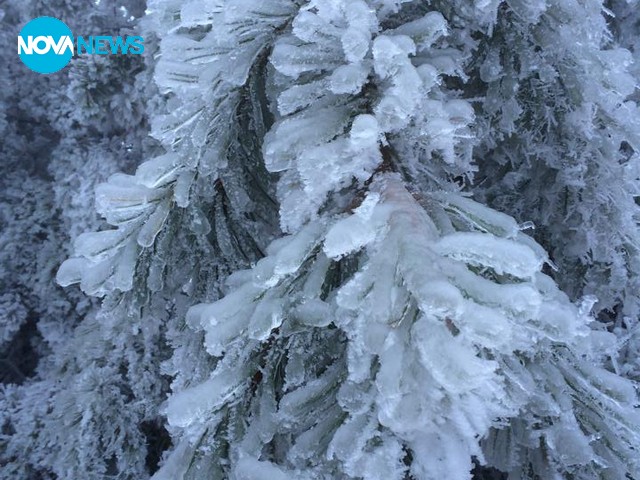 Снимки от Горни Лом