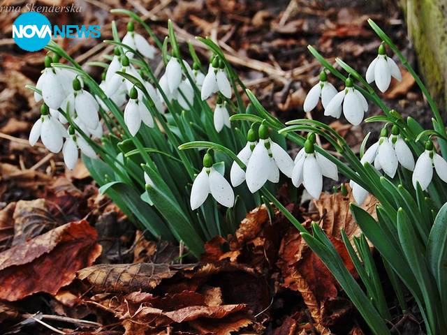 За прогнозата на времето