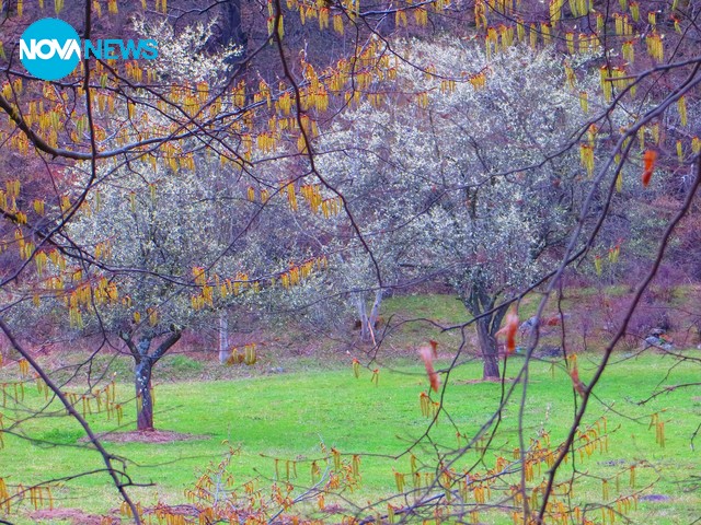 Честит празник, метеоролози!