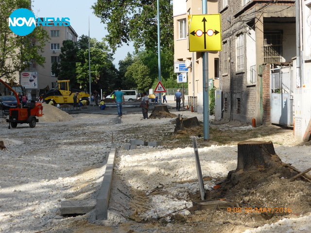 Сеч на дървета в Пловдив