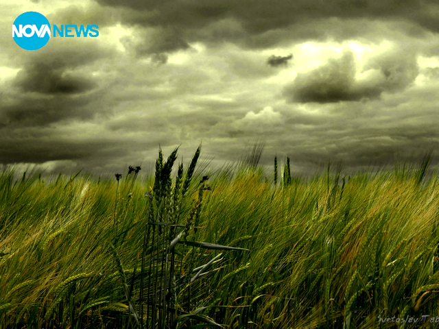 Преди дъжда