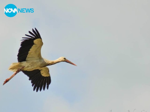 За прогноза на времето