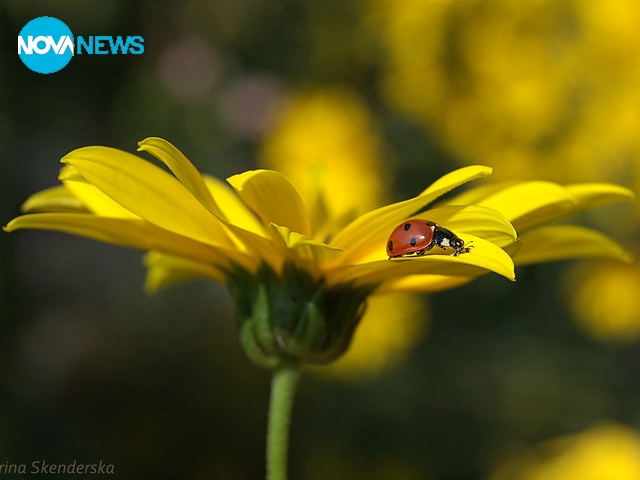 За прогнозата за времето