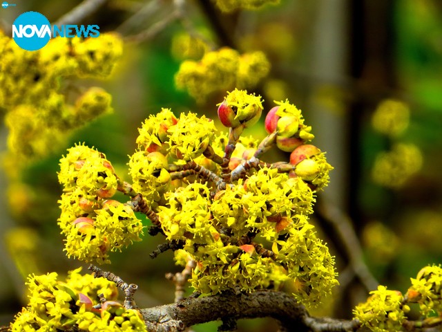 Един дъждовен ден!