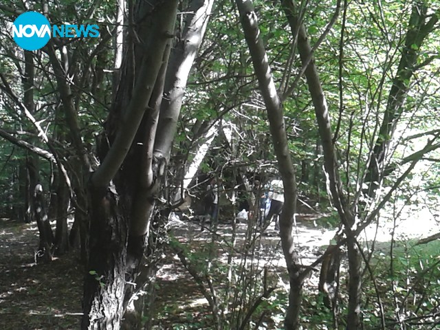 Стопанисването на "парк" "Витоша"