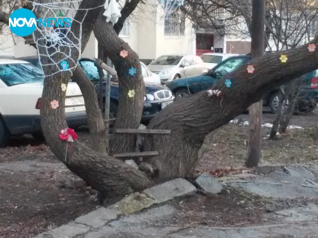 Приказно дърво