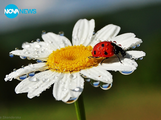 Най-свежото утро
