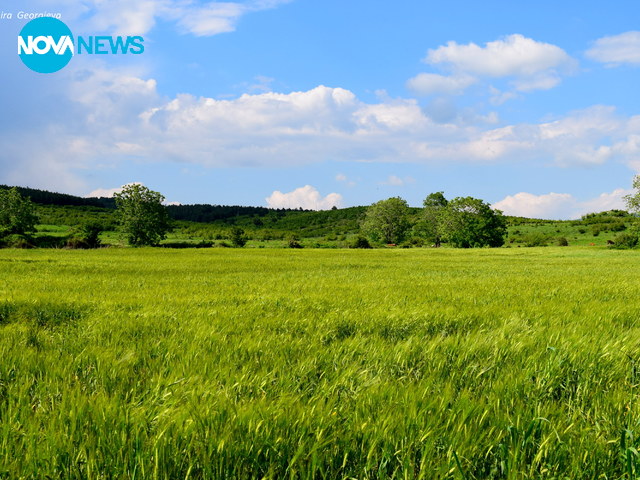 Тракийска пролет