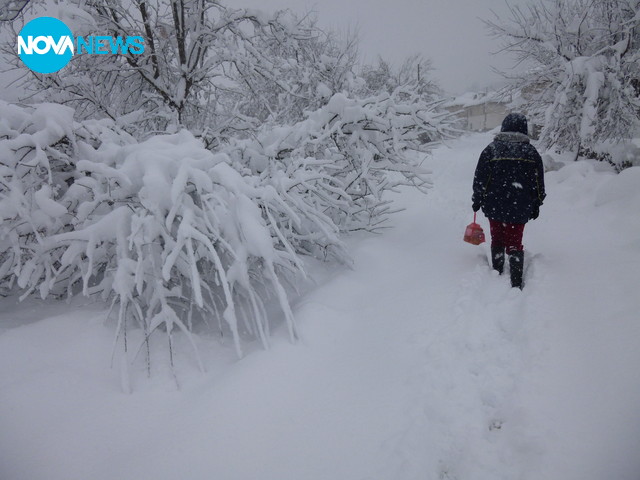 Обилен снеговалеж и вятър в северозападното село Дълги Дел