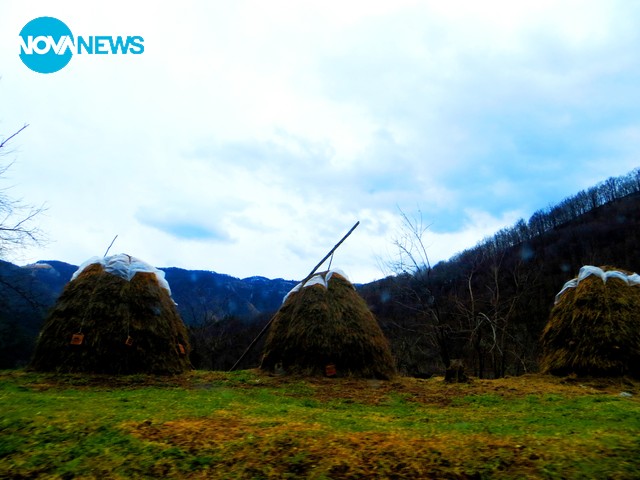 Февруарски красоти!
