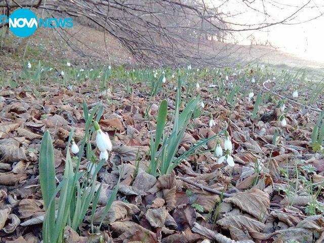 Прекрасна пролет