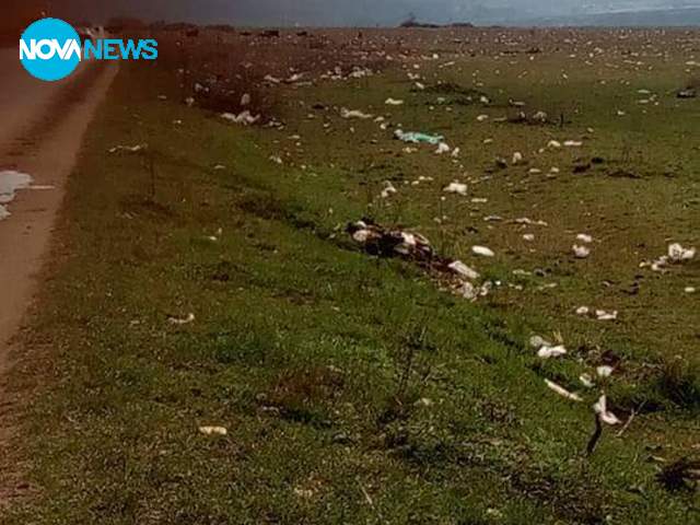 "Красота" около ромската махала и главен път Е80